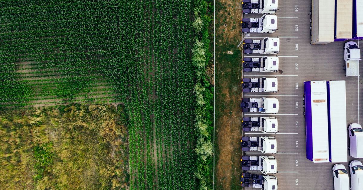 Net Zero và lộ trình logistics xanh: Thách thức và cơ hội cho doanh nghiệp xuất nhập khẩu Việt Nam