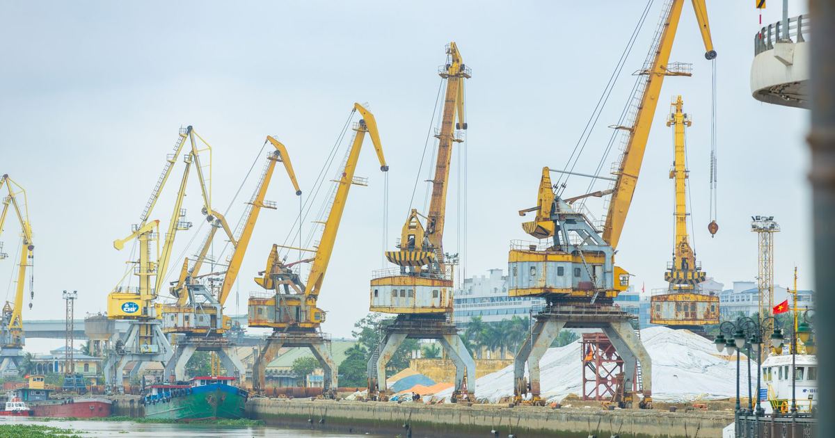 Quy định hải quan: Những lưu ý quan trọng để thông quan hàng hóa thuận lợi